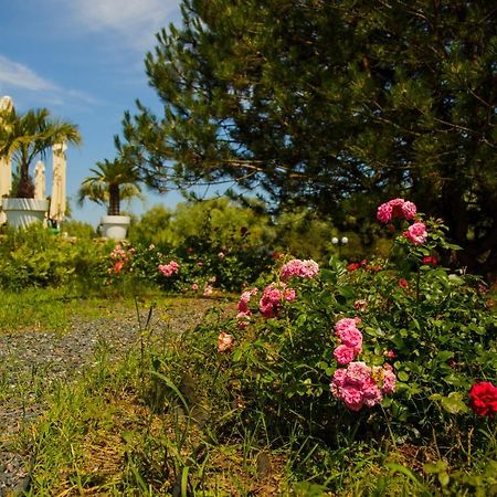 New Egreta Resort Dunavăţu de Jos Εξωτερικό φωτογραφία