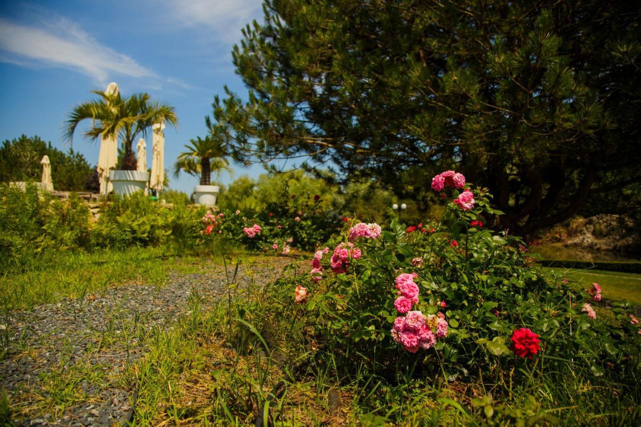 New Egreta Resort Dunavăţu de Jos Εξωτερικό φωτογραφία